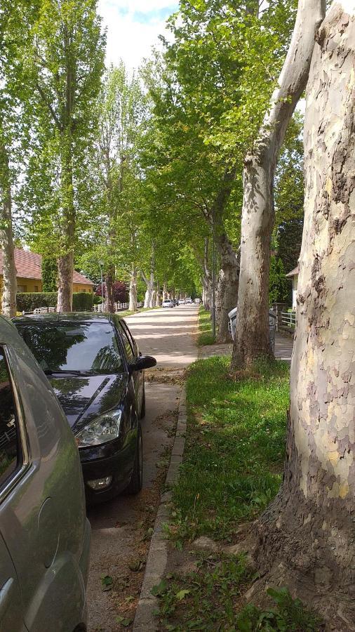 Heni Apartman Нагиканиша Екстериор снимка